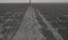 暗示对某人失望的句子