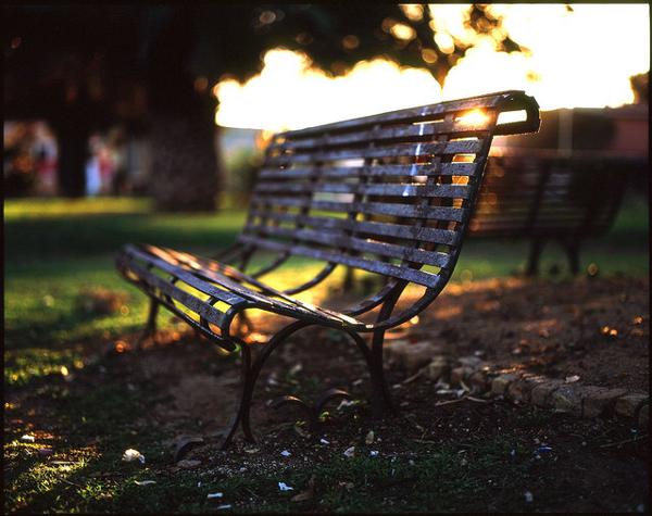 教你第一支舞蹈的人可能无法陪伴您去野外