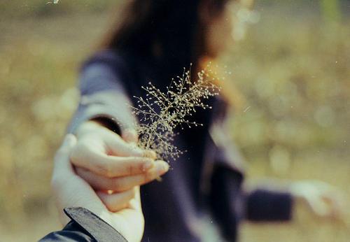 编辑整理了一些有关情感时刻的句子