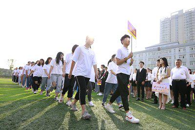 努力的终点是荣耀