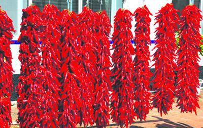   孕妇梦见红辣椒