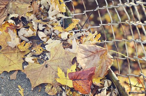 家庭情感是最深的