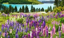 描写兄妹手足情的句子 赞美兄妹感情好的句子