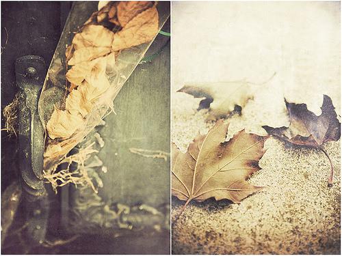 一个人最难过的时刻是对自己的亲人感到失望