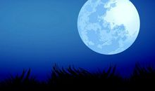 描写月亮的好句