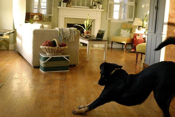 但是我们生活在这一生