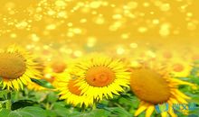 2019年最正能量的一句话