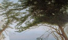 形容对朋友特别失望的句子