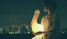 怀孕后对老公失望的句子