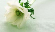 坏脾气留给家人的说说