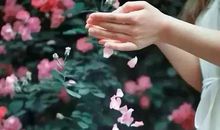 开心点的句子正能量