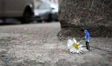 对丈夫心寒失望的句子