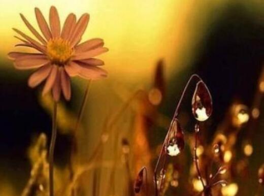 您戴着紫红色的旗袍