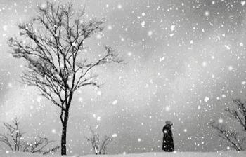 家庭感情的冷漠使人感到寒冷