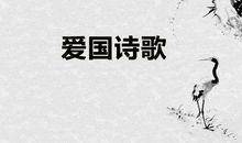 表现爱国思想的诗句