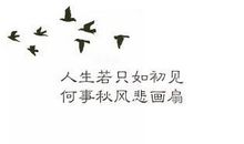 有诗意的爱情诗句