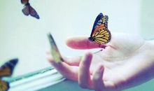 有关爱情的经典语句：疼爱就是你不讲理我也让你几分