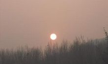 早上太阳升起的句子