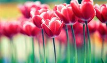 终于等到这一天的开心说说