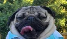 有深度的自嘲的句子、幽默说说