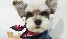 临近期末考试的说说 调侃期末考试的说说