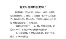 描写柳树的句子