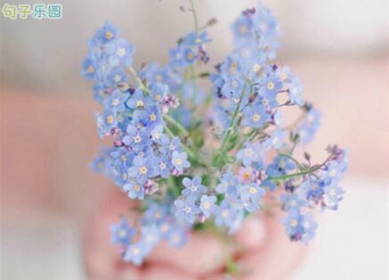 城市的南部已经开放