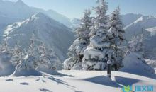 描写冬天寒冷的词语