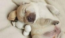 搞笑经典语录，最火的经典幽默语句