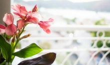 有你们很开心的句子