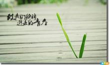 表达自己生日的句子