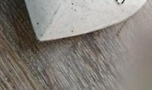 讨女孩子开心的笑话