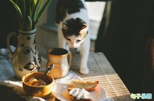 世界是如此美丽