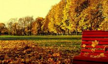 关于浅秋的优美句子