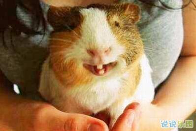 对于那些看起来不错的人来说