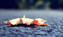 幸福爱人里的经典句子