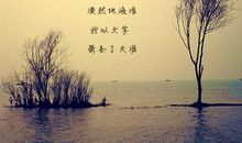 描写心情平静的诗句