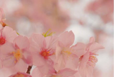 愿这些漫长的岁月