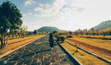 对妻子很失望的句子