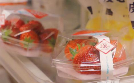 我们热情的句子可以温暖您的时间