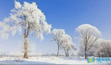 关于描写十二月的句子