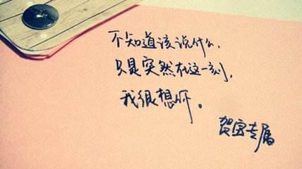 什么样的爱情词可以表达对她的爱