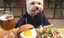 微信搞笑句子，微信搞笑段子