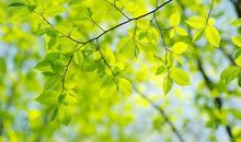 青春励志语录经典