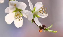 疫情快结束了的句子说说心情短语 疫情终于结束了的说说