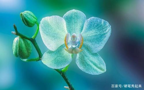 编辑整理了一些有关家庭的句子