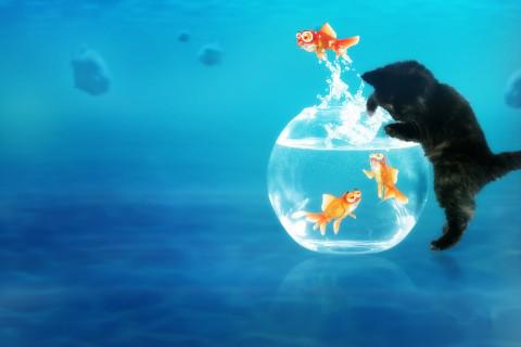 没有道路建设者