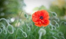 珍惜亲情经典句子