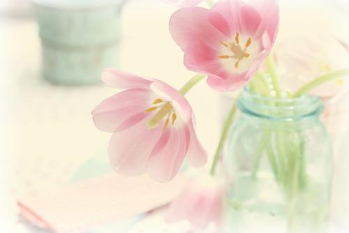 编辑编了一些关于哄人的幽默句子