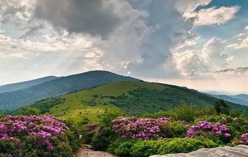 人们的心逐渐移开